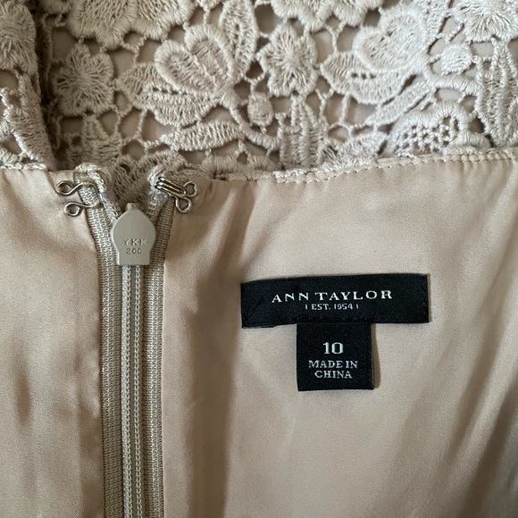 Ann Taylor Beige Knee Length Dress Lace With Partial Sheer Panel Women's Size 10 - Picture 11 of 14